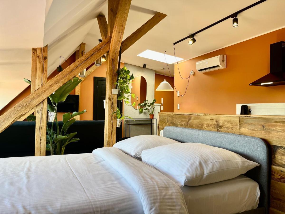 Chopin View - Apartament Z Widokiem Stary Toruń 外观 照片